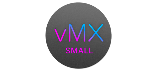 Meraki vMX Small